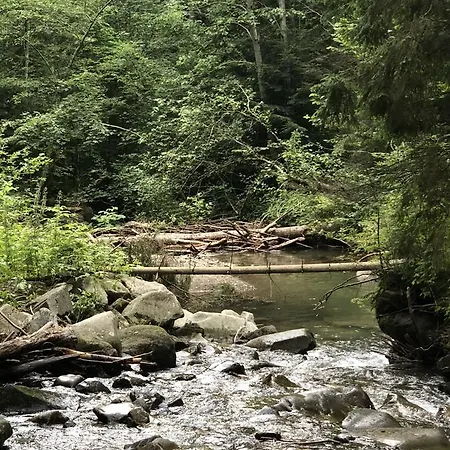 Вилла Bilogirya