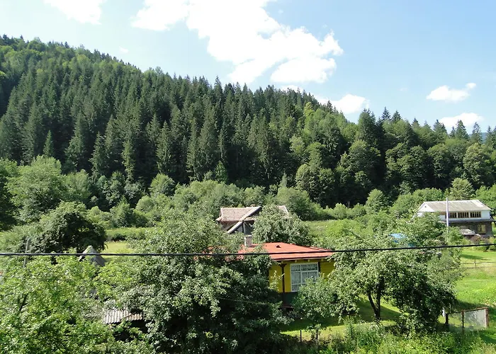 Bilogirya