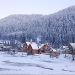 Bilogirya