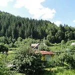 Bilogirya