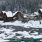 Bilogirya